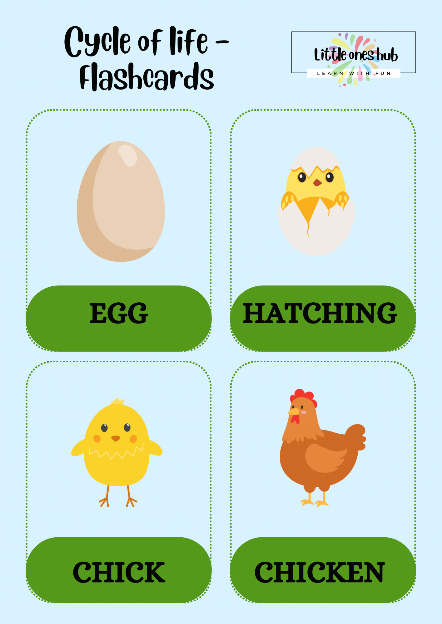 Cycle of life - Flashcards